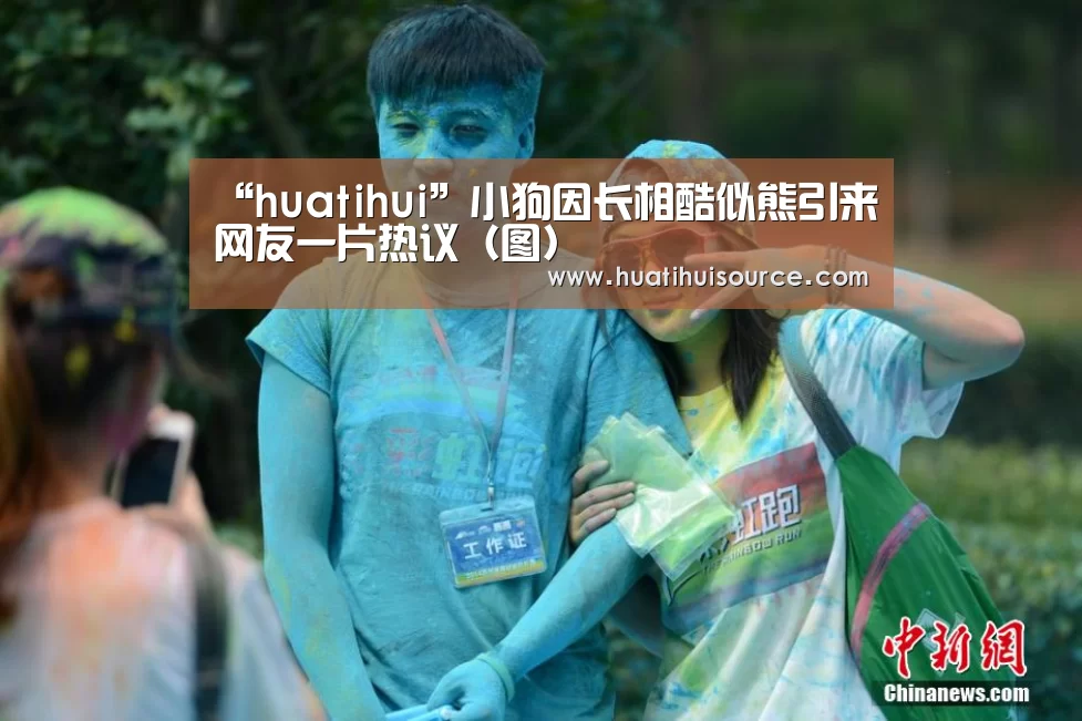 “huatihui”小狗因长相酷似熊引来网友一片热议(图)(图2) hth华体会官网