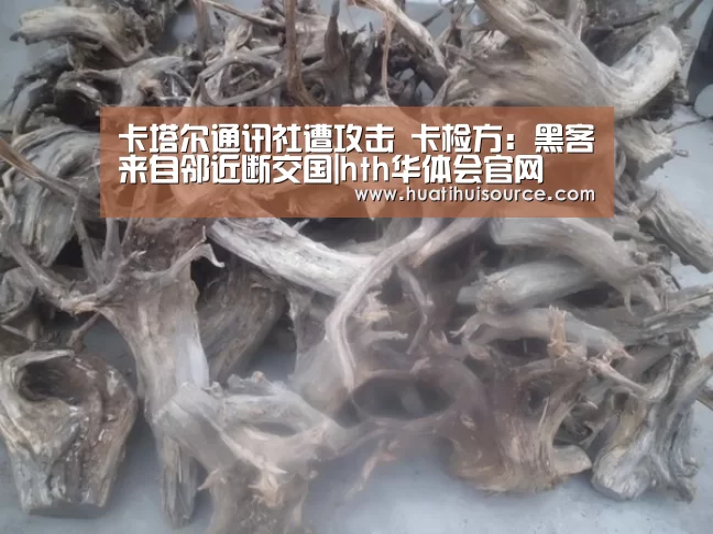 卡塔尔通讯社遭攻击 卡检方:黑客来自邻近断交国|hth华体会官网(图2) hth华体会官网