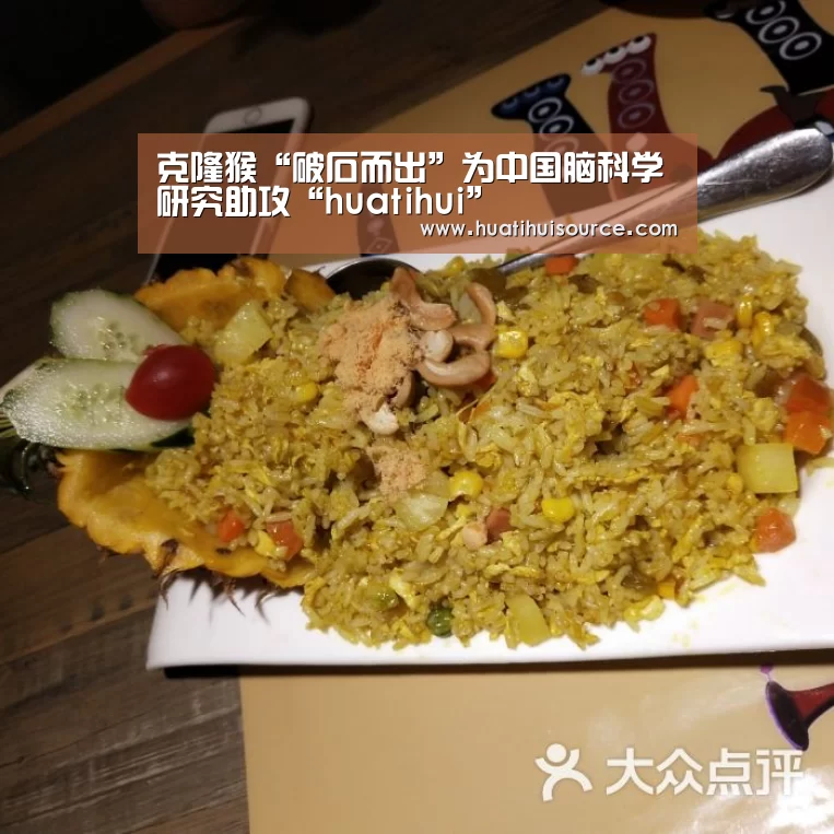 hth华体育官方入口