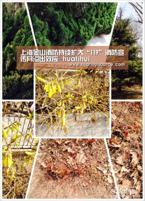 上海金山消防持续扩大“119”消防宣传月溢出效应-huatihui(图1) hth华体会官网