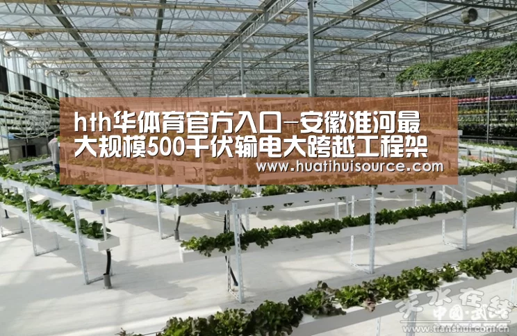 hth华体会官网