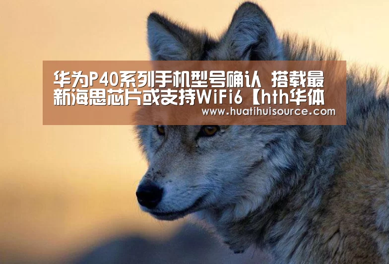 华为P40系列手机型号确认 搭载最新海思芯片或支持WiFi6【hth华体会官网】(图2)